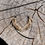 Thumbnail: Hen Pheasant Dangly Layered Arches On Wood For Size