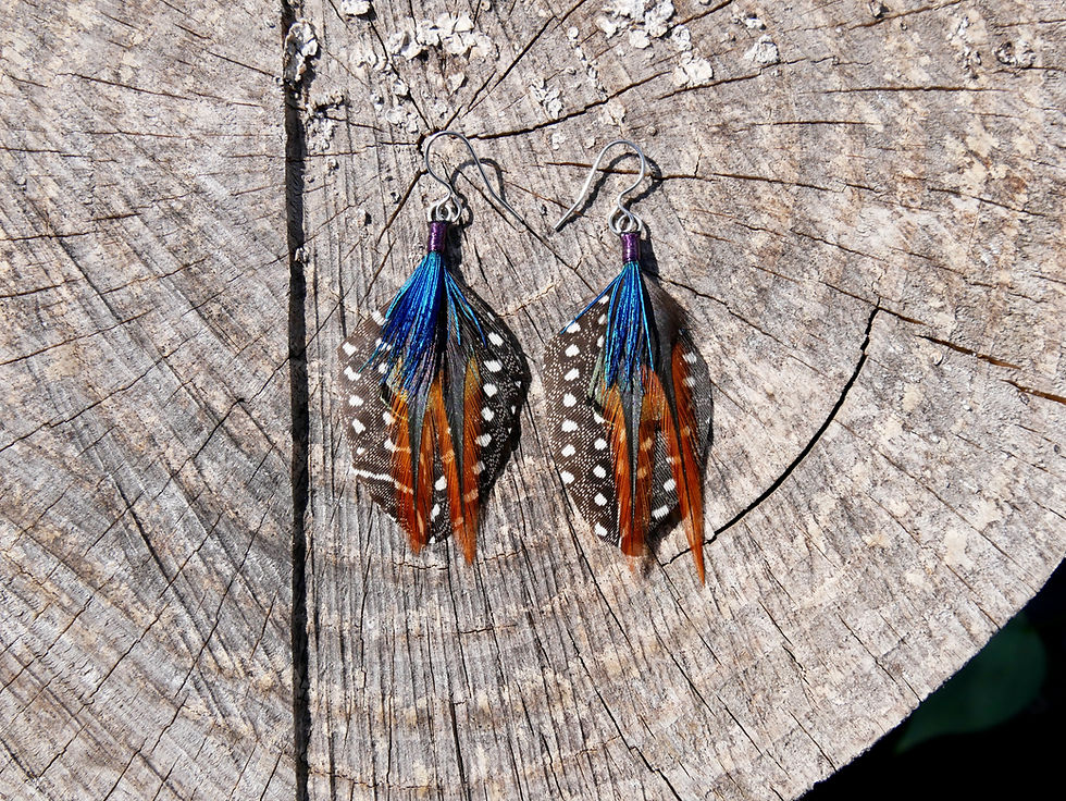Thumbnail: Polka Dot Shield Earrings With a Flash Of Colour On Wood