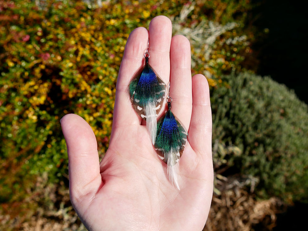 Thumbnail: Guinea Fowl Earrings Topped With Rooster and Shimmering Peacock Feathers On Hand For Size