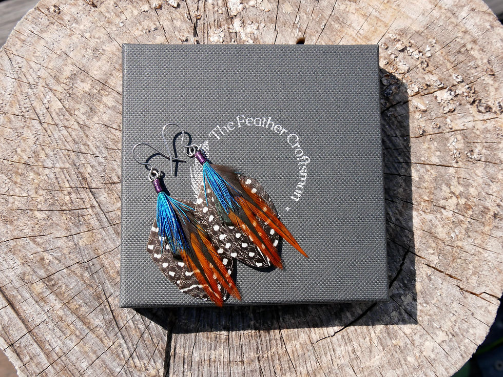 Polka Dot Shield Earrings With a Flash Of Colour On Presentation Box