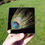 Thumbnail: Fronded Peacock Eye Hat Pin In Presentation Box