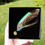 Thumbnail: Green Mallard and Peacock Real Feather Hat Pin In Presentation Box