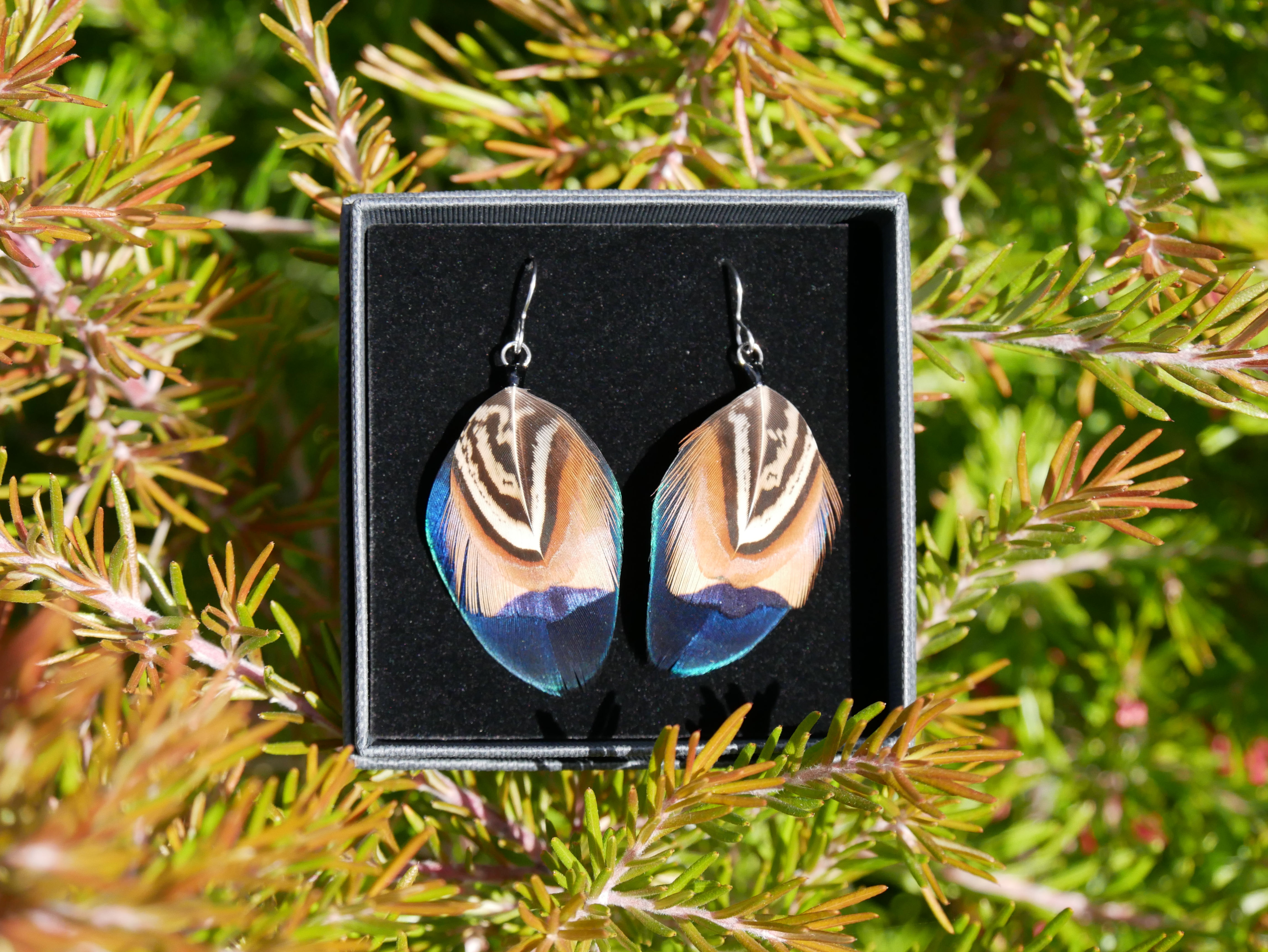 Velvety Blue Peacock Feathers Topped With Cinnamon Pheasant Feather Topper In Presentation Box