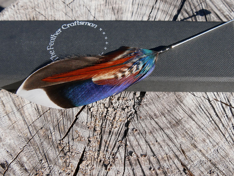 Thumbnail: Vibrant Blue Mallard and Chestnut Rooster Feather Lapel Pin On Presentation Box