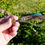 Thumbnail: Green Mallard and Peacock Real Feather Hat Pin In Hand