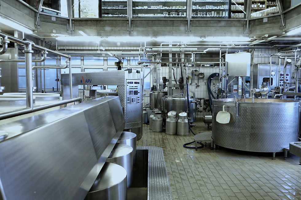 hans-cheese-factory-2895522_edited_edited.jpg