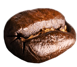 Bohne_9.png