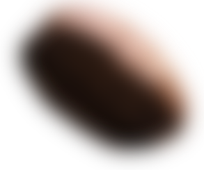 Bohne_7.png