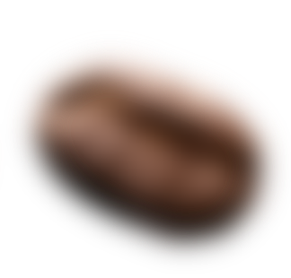 Bohne_4.png