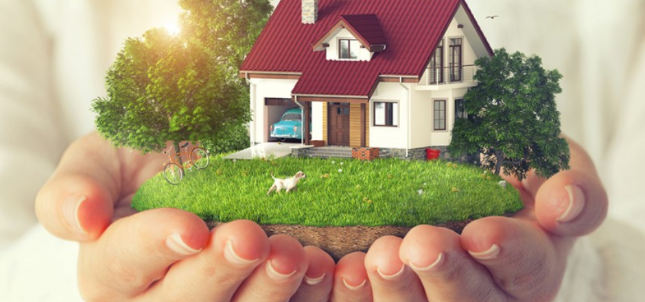 formation geobiologie.png