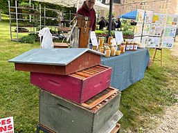 IMG_0336.JPG