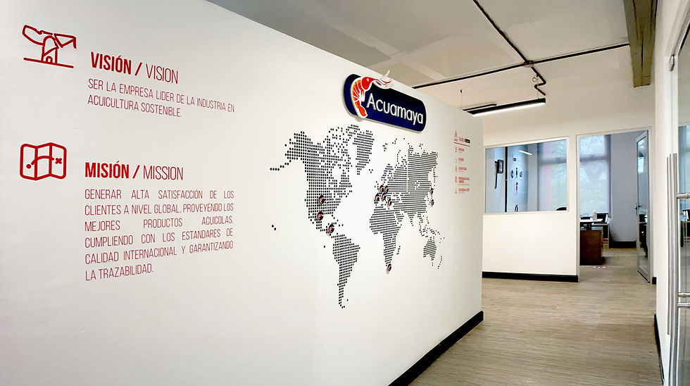 Oficinas Centrales de Acuamaya – Rediseño de Oficinas Eficientes por TORUS