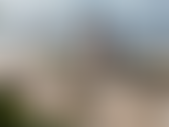 Why a Professional Proposal Planner Is the Secret to Saying ‘Yes’ Stress-Free 💍