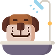 Banho e Tosa - Veterinária Laranjeiras