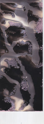Scan 20.jpeg
