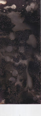 Scan 24.jpeg