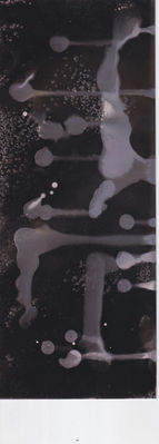 Scan 25.jpeg