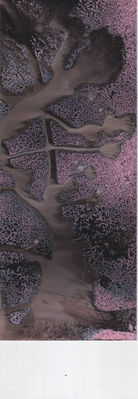 Scan 10.jpeg