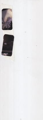 cut outs 5.jpeg