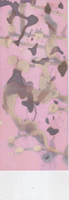 Scan 12.jpeg