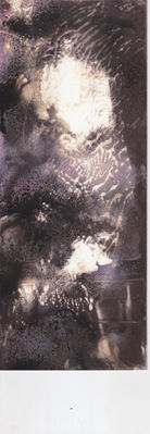 Scan 7.jpeg