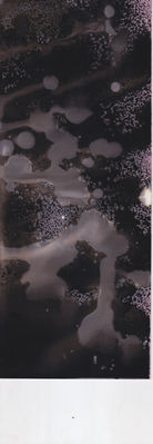 Scan 14.jpeg