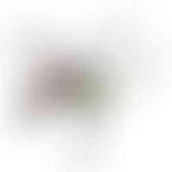 Alterazione della postura collegata al sistema nervoso e al controllo del movimento del corpo