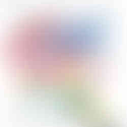 funzionamento del microcircolo e sistema linfatico nel drenaggio dei liquidi e delle scorie