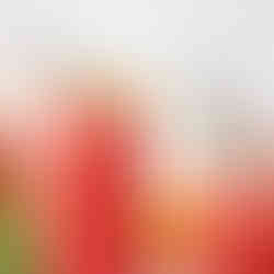 centrifugato di frutta