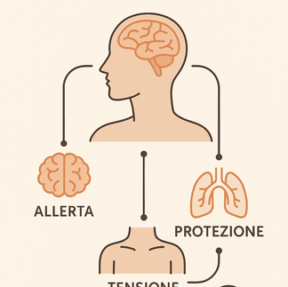 Una grafica che mostra in modo semplice e scientifico come la postura cambi in base allo stato del corpo.