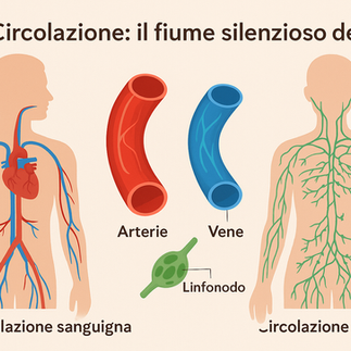 circolazione e cellulite