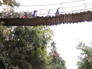 Jungle Park на Тенерифе