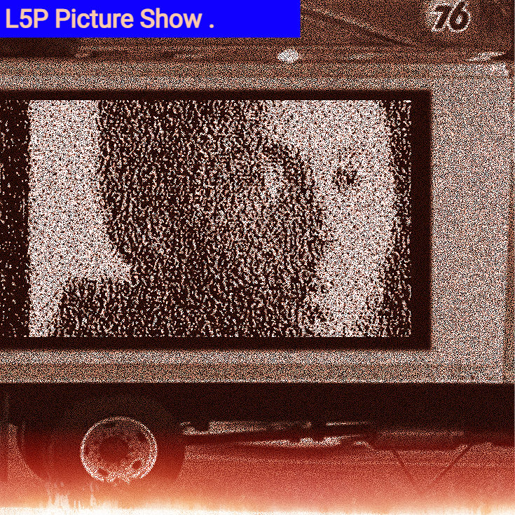 L5P PICTURE SHOW w/ JOEL SILVERMAN