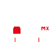Logo EMAD