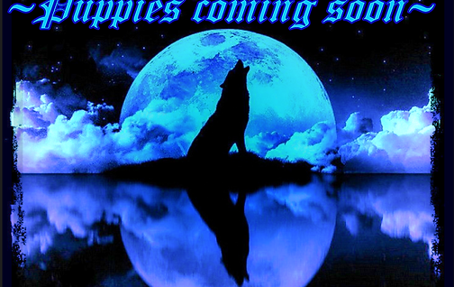 Screenshot (4987).png