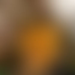 Veränderung beginnt im Erleben