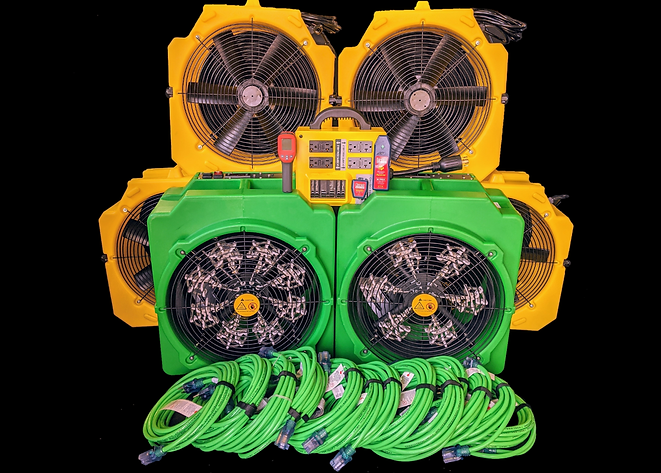 1000 web (1).png