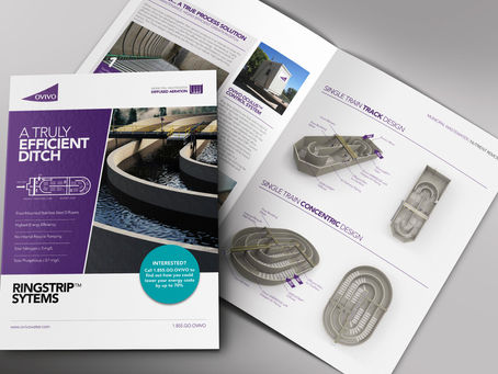 How to create your portfolio