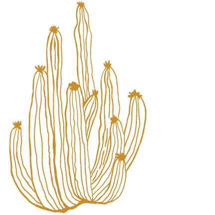 cacti-solo-yellow.png