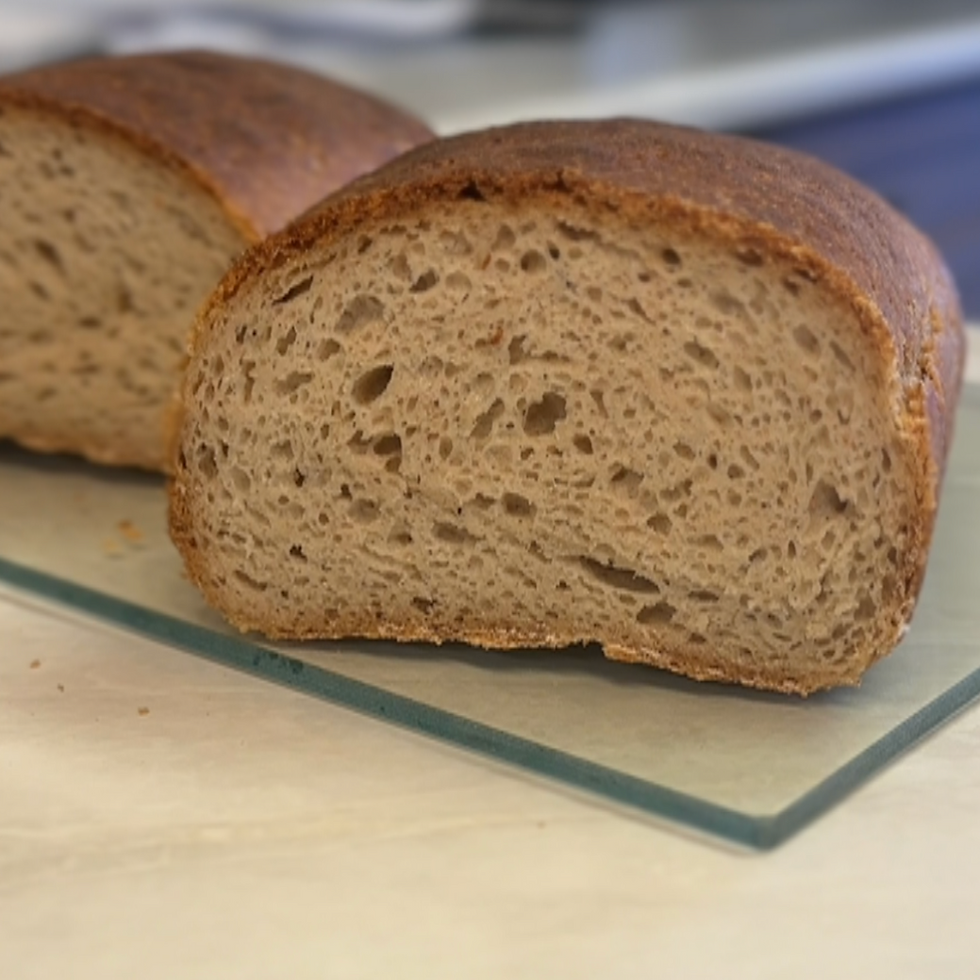 Gluten Free Sourdough Sandwich Bread