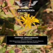 Las Friegas, Conerva Herbolarias - Tintura Madre - La Tinturería - Árnica Mexicana (Hetero