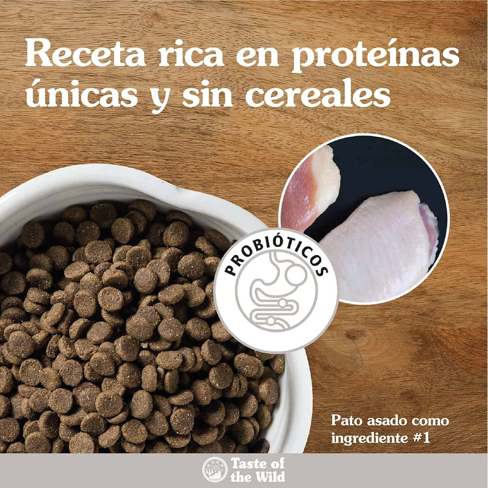 Miniatura: Taste Of The Wild Wetlands Canine (Pato Asado)