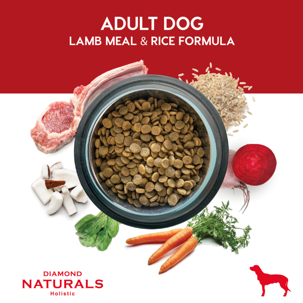 Miniatura: Diamond Naturals Lamb Meal & Rice Adult