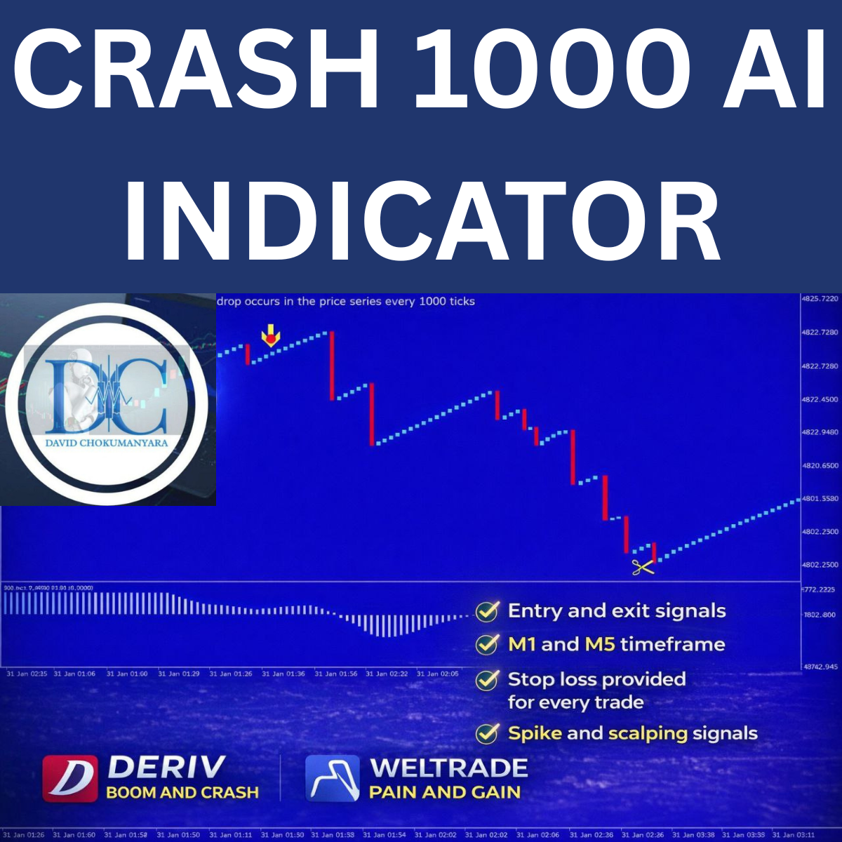 CRASH 1000 AI