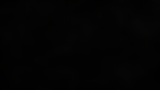 background 2.png