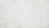 website 4.png