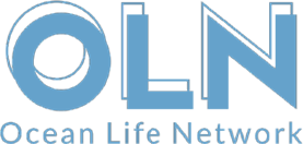 Ocean Life Network