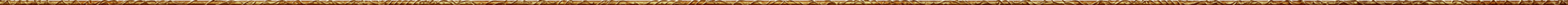 NDS_Border.PNG
