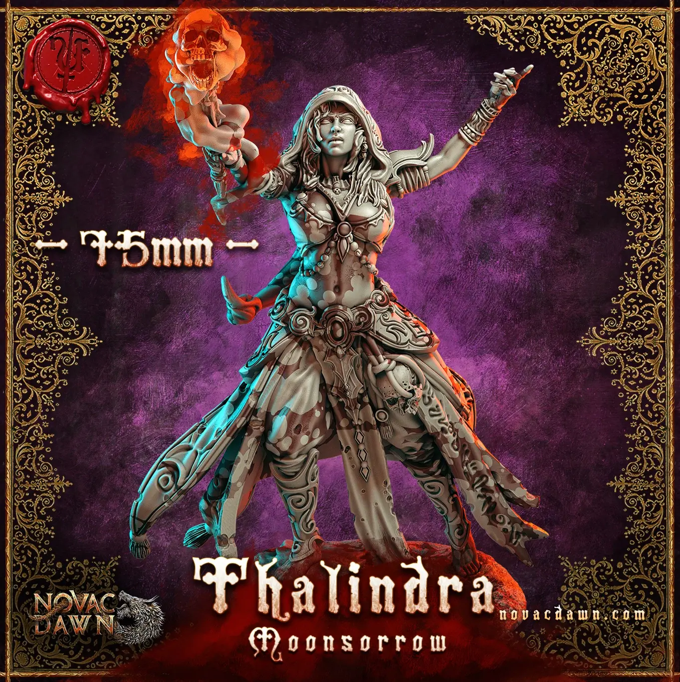 Thalin - The Dark Strider
sorcerers hero 75mm scale