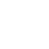 11.png
